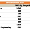 8 Stock picks for 2025