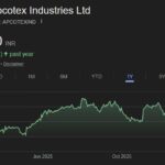 Apcotex share price target