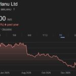BirlaNu share price target