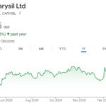 Carysil share price target