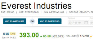 Everest Industries Multibagger