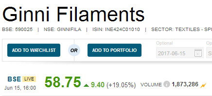 Ginni Filaments multibagger