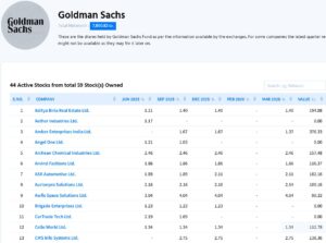 Goldman Sachs Portfolio