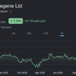 Indegene share price target