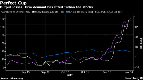 Multibagger Tea Stocks