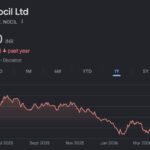 NOCIL share price target