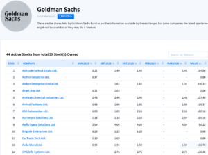 Goldman Sachs Portfolio Shareholdings & Investments
