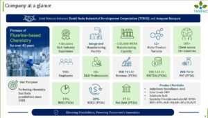 TANFAC’s share price target