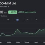 Indo-MIM share price target